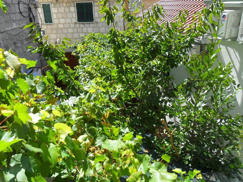 Dube Apartment