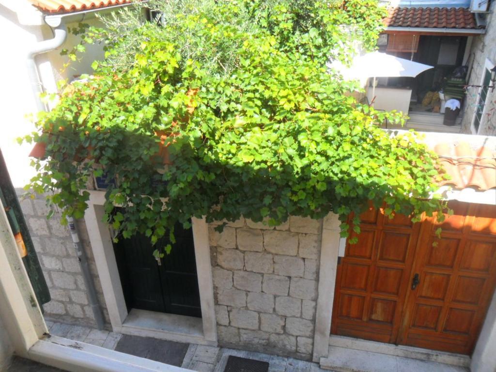 Apartment Dube